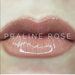 NWT Senegence Lipsence in "Praline Rose"